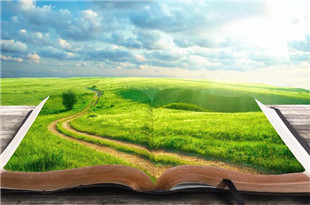 【專題】優選中短篇